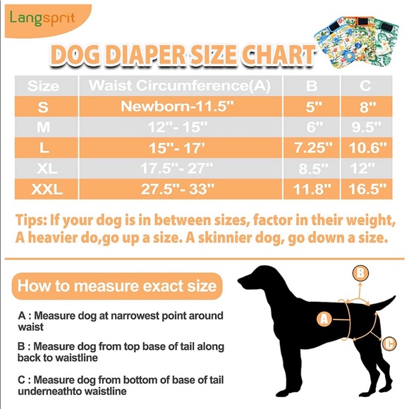 Small Reusable dog diapers - Picture 2 of 4